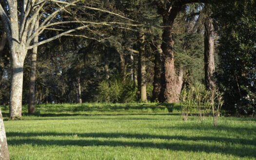 La Bastide Rouge - Saint-Geniès-Bellevue | Cosy Places by GAPH