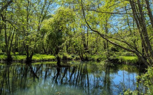 Bonfarto Locations - 5 logements - 14 couchages - Urval | Cosy Places por GAPH