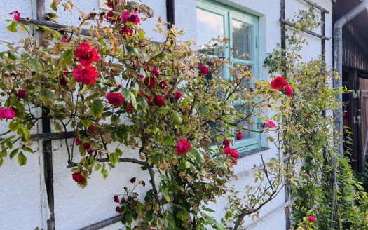 Gåsen Out - by Petit Hotel Sweden - Burgsvik | Cosy Places por GAPH