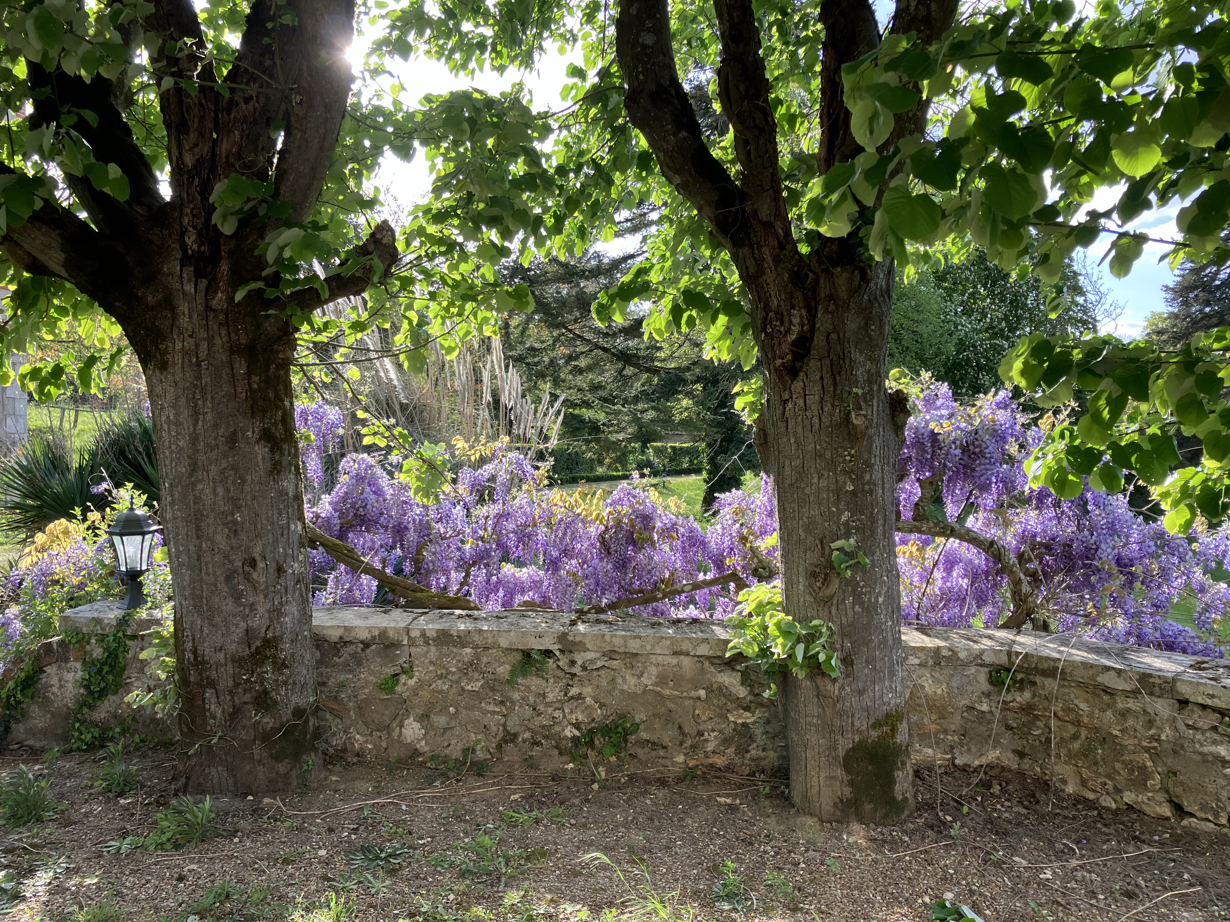 Château La Villaine- 15 couchages - Esvres-sur-Indre | Cosy Places by GAPH