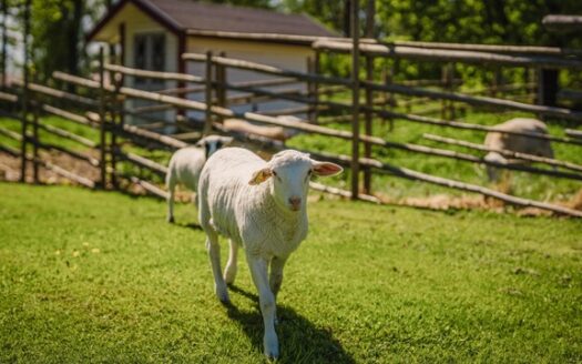 Högby Spa & Konferens - by Petit Hotel Sweden - Suède | Cosy Places par GAPH