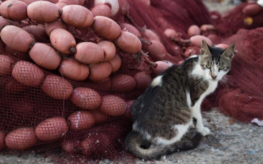 Eucalyptus Ethnic Hotel & Spa - 38 couchages - Maroc | Cosy Places par GAPH