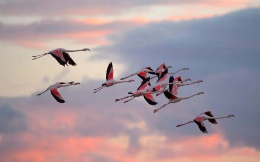 Mas du Couvin - France | Cosy Places par GAPH